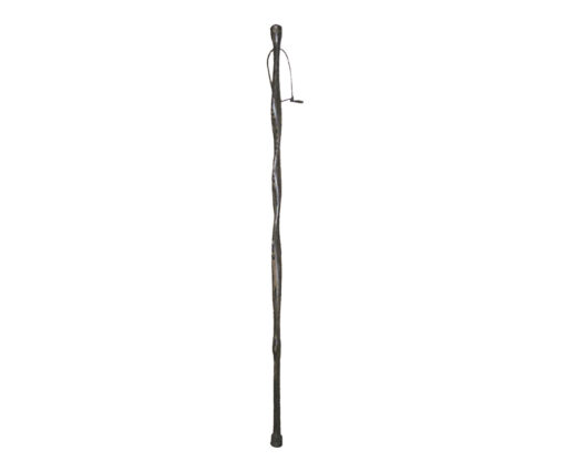Hiking Stick