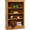 Traditional Bookcase