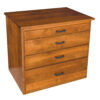 Module Storage Cabinet